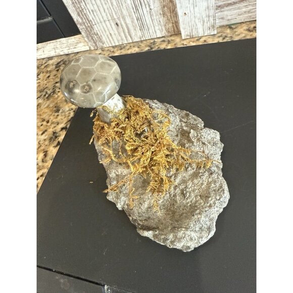 Petoskey Stone Polished Mushroom On A Base Handmade - Picture 5 of 7